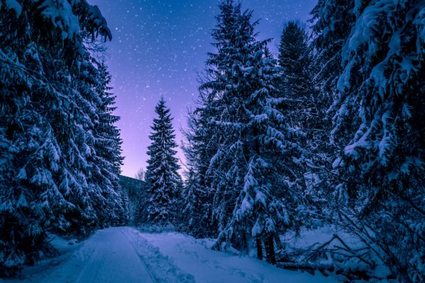 January & February 2019 Newsletter